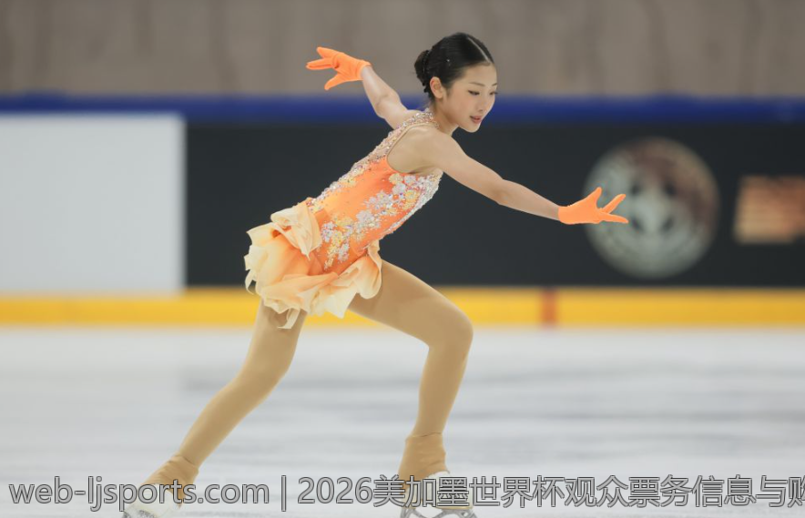 2026美加墨世界杯观众票务信息与购票技巧